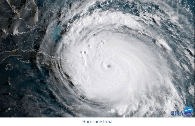 Irma Resize